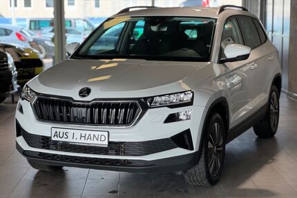 Skoda Karoq Gebrauchtwagen