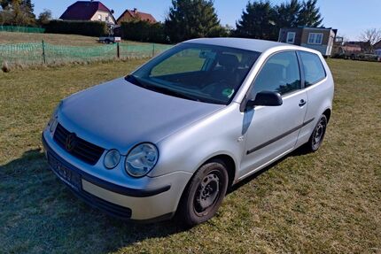 VW Polo Gebrauchtwagen