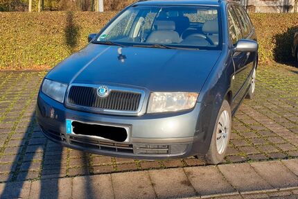 Skoda Fabia Gebrauchtwagen