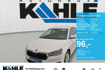 Skoda Fabia Gebrauchtwagen