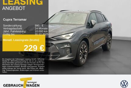 Cupra Terramar Gebrauchtwagen