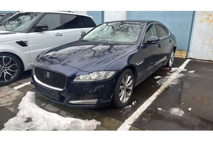 Jaguar XF Gebrauchtwagen