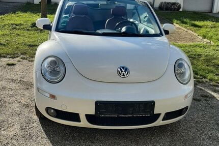 VW Beetle Gebrauchtwagen