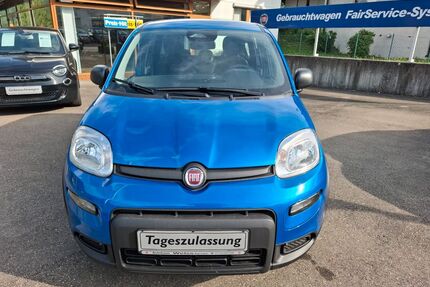 Fiat Panda Gebrauchtwagen