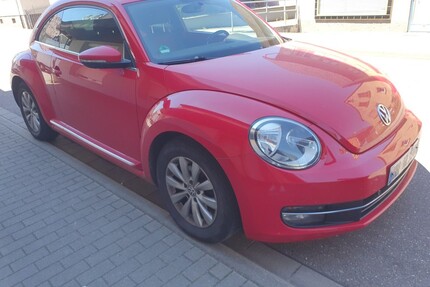 VW Beetle 