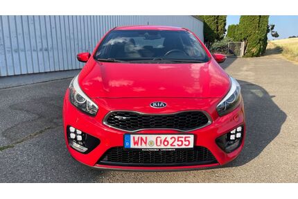 Kia ceed / Ceed Gebrauchtwagen