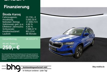 Skoda Karoq Gebrauchtwagen