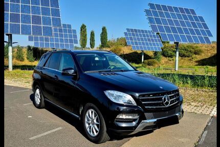 Mercedes-Benz ML 350 Gebrauchtwagen
