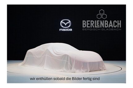 Kia Sorento Gebrauchtwagen