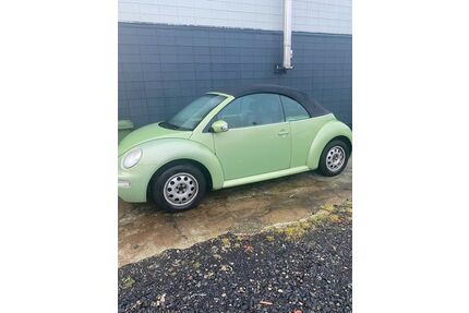 VW Beetle Gebrauchtwagen