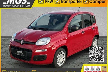 Fiat Panda Gebrauchtwagen