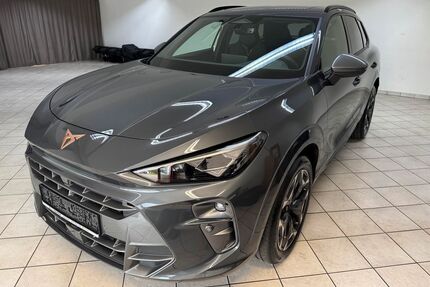 Cupra Terramar Gebrauchtwagen