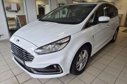 Ford S-Max Gebrauchtwagen