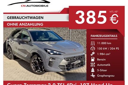 Cupra Terramar Gebrauchtwagen