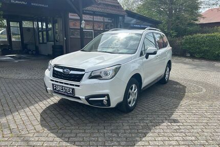 Subaru Forester Gebrauchtwagen