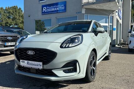 Ford Puma Gebrauchtwagen