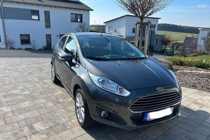 Ford Fiesta Gebrauchtwagen