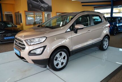 Ford EcoSport Gebrauchtwagen