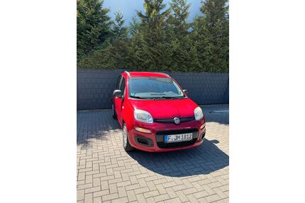Fiat Panda Gebrauchtwagen