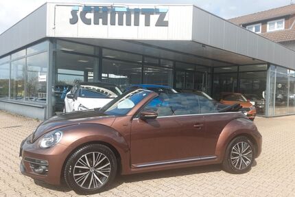 VW Beetle Gebrauchtwagen
