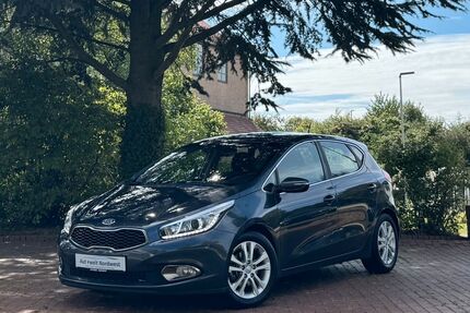 Kia ceed / Ceed Gebrauchtwagen