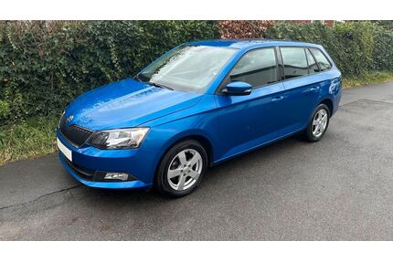Skoda Fabia Gebrauchtwagen