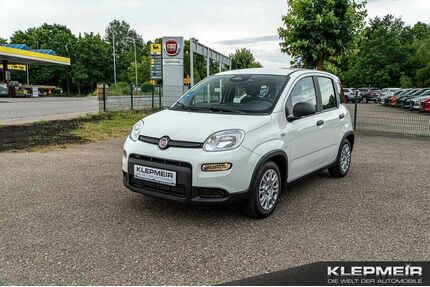 Fiat Panda Gebrauchtwagen