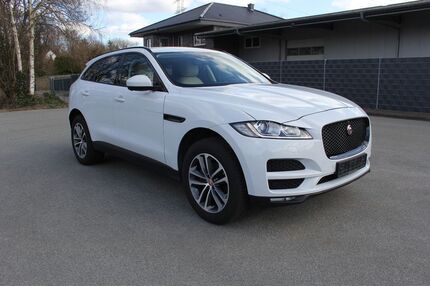 Jaguar F-Pace Gebrauchtwagen
