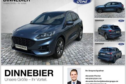 Ford Kuga Gebrauchtwagen