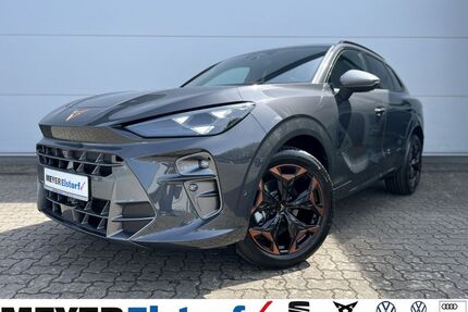 Cupra Terramar Gebrauchtwagen