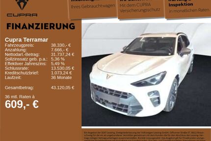 Cupra Terramar Gebrauchtwagen