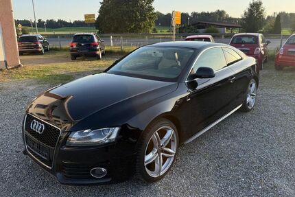 Audi A5 Gebrauchtwagen