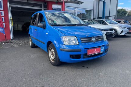 Fiat Panda Gebrauchtwagen