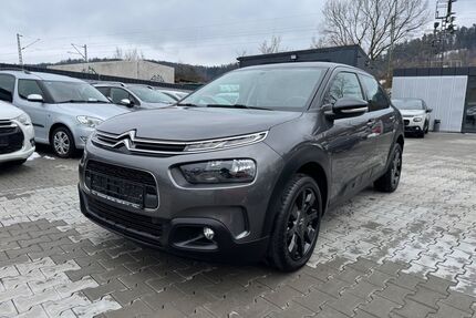 Citroen C4 Cactus Gebrauchtwagen