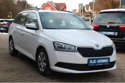 Skoda Fabia Gebrauchtwagen