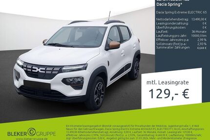 Dacia Spring Gebrauchtwagen