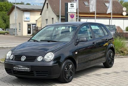 VW Polo Gebrauchtwagen