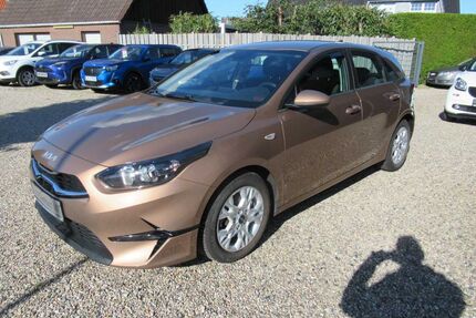 Kia ceed / Ceed Gebrauchtwagen