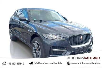 Jaguar F-Pace Gebrauchtwagen