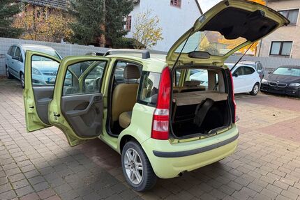 Fiat Panda Gebrauchtwagen