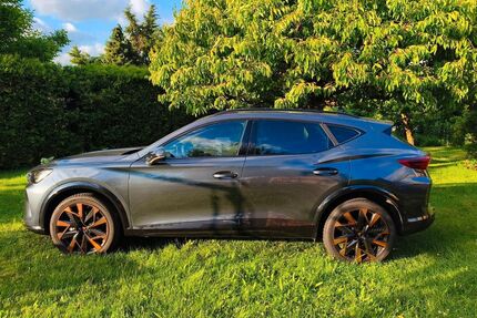 Cupra Formentor Gebrauchtwagen