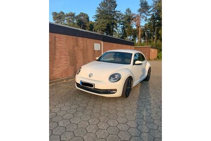 VW Beetle Gebrauchtwagen