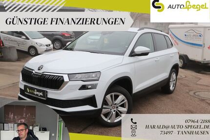 Skoda Karoq Gebrauchtwagen
