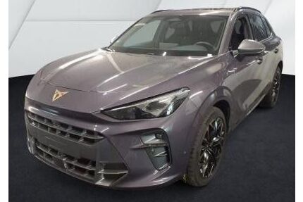 Cupra Terramar Gebrauchtwagen