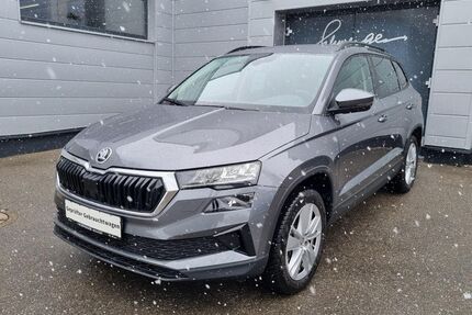 Skoda Karoq Gebrauchtwagen
