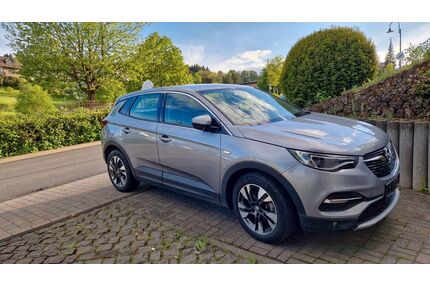 Opel Grandland (X) Gebrauchtwagen