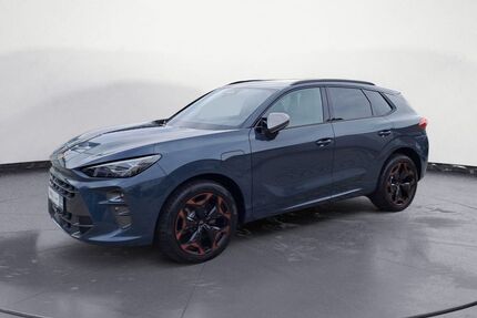 Cupra Terramar Gebrauchtwagen