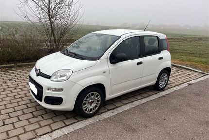 Fiat Panda Gebrauchtwagen