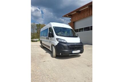 Peugeot Boxer Gebrauchtwagen