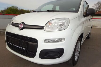 Fiat Panda Gebrauchtwagen